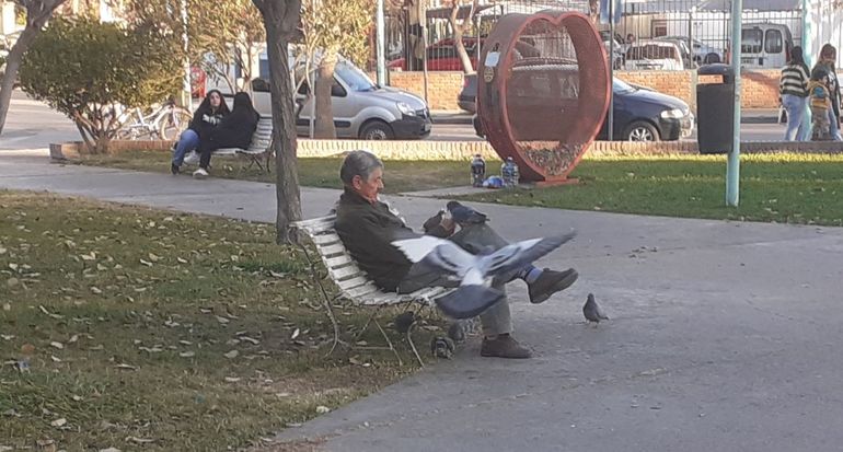 Hardy disfruta de sus amigas las palomas. Ni bien llega a la plaza lo rodean y le hacen compañía. 