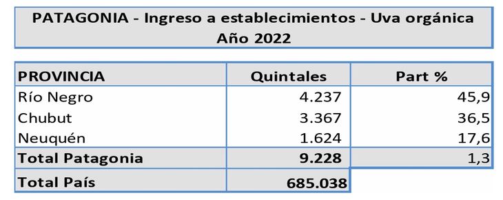 Mapeo de la producción de uva orgánica de la región. Gráfico: INV Mapeo de la producción de uva orgánica de la región. Gráfico: INV