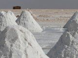 Argentina busca posicionarse en el desarrollo de la industria del litio