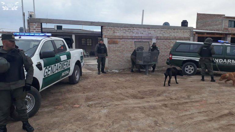 Gendamería desbarató en Salta una banda narco con vínculos neuquinos