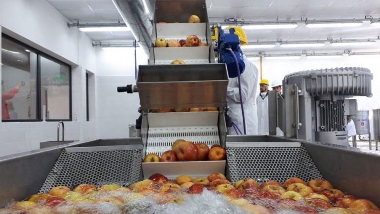 La sidra en lata, alternativa para la fruta del Alto Valle