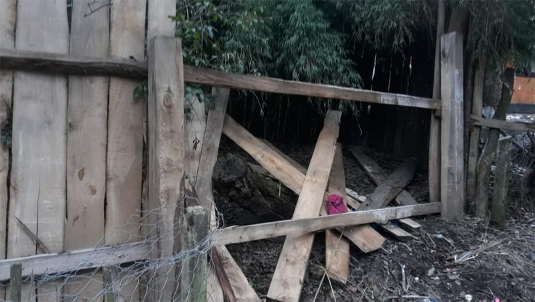 La Angostura: enfrentamiento entre una vecina y el Municipio por un terreno