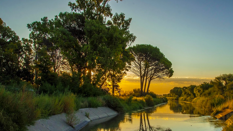 Los menonitas adquirieron 5.000 hectáreas en la zona de Negro Muerto, entre General Conesa y Choele Choel | LM Neuquen Los menonitas adquirieron 5.000 hectáreas en la zona de Negro Muerto, entre General Conesa y Choele Choel
