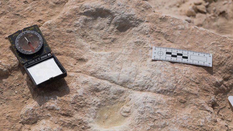 Hallaron huellas primitivas en la Península Arábiga