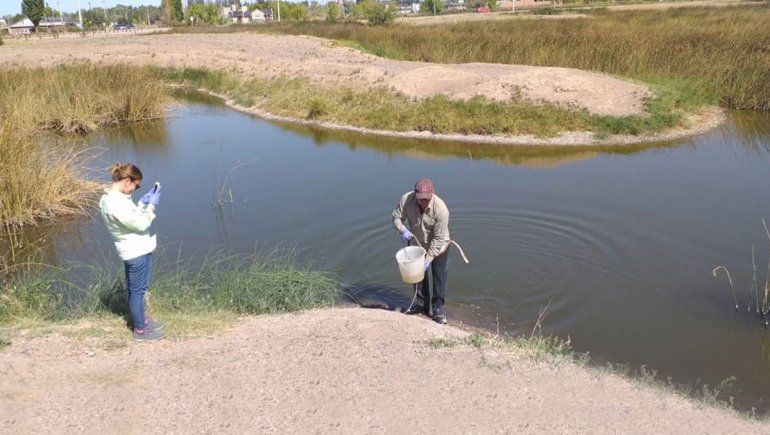 Tomaron muestras de la laguna del San Lorenzo