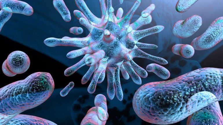 Se registraron 33 casos de linfogranuloma venéreo.