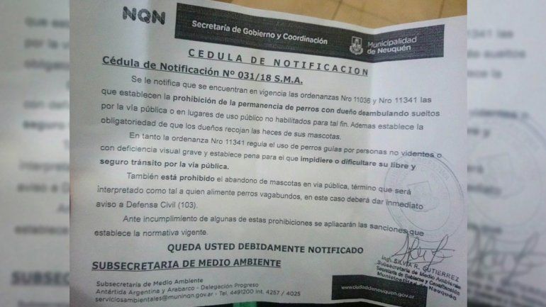 Polémica por las multas a las personas que les den de comer a los perros callejeros