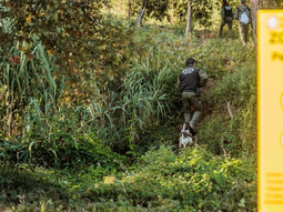 Agentes rurales acompañados por perros buscan rastros de jabalís infectados con la peste porcina africana en CollserolaREDACCIÓN / Otras Fuentes Agentes rurales acompañados por perros buscan rastros de jabalís infectados con la peste porcina africana en CollserolaREDACCIÓN / Otras Fuentes