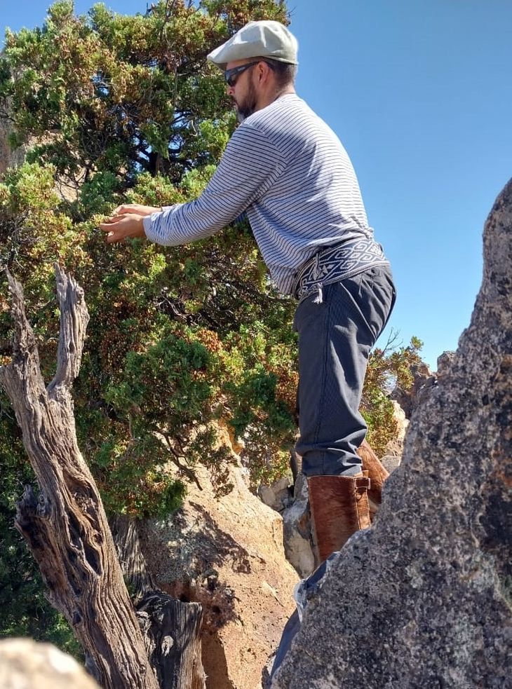 Las semillas provienen de un banco de semillas de INTA Bariloche. Foto: gentileza. Las semillas provienen de un banco de semillas de INTA Bariloche. Foto: gentileza.