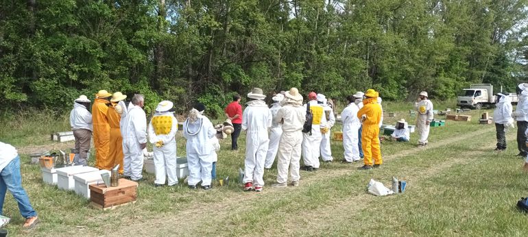 Taller de Apicultura. Taller de Apicultura.