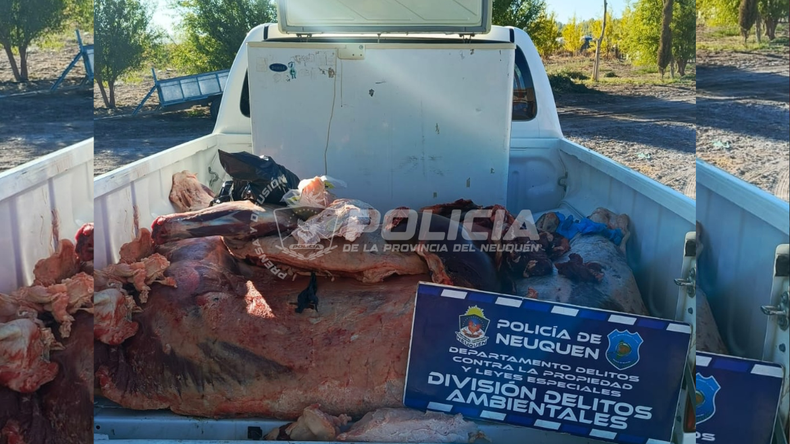 La Policía desbarató un matadero clandestino. | LM Neuquen La Policía desbarató un matadero clandestino.