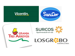 La caída de firmas históricas revela un entramado de desequilibrios financieros, malas decisiones y un nuevo escenario económico sin red de contención. La caída de firmas históricas revela un entramado de desequilibrios financieros, malas decisiones y un nuevo escenario económico sin red de contención.