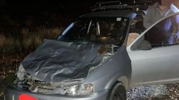 Ruta 237: un auto chocó violentamente contra una vaca y el conductor se salvó de milagro