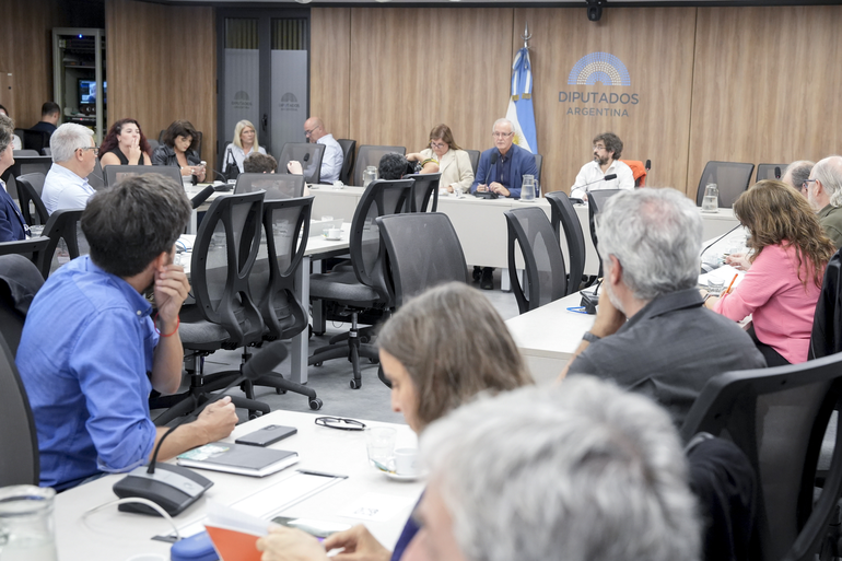 Reunión de la Comisión de Ciencia y Tecnología e Innovación Productiva de la Cámara de Diputados de la Nación, el martes 15 de abril.