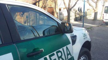 gendarmeria desembarcara en plottier con un escuadron gendarmeria desembarcara en plottier con un escuadron
