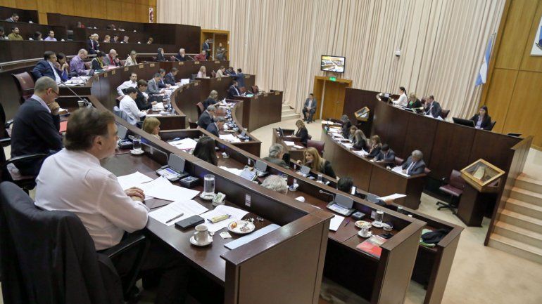 En la Legislatura hay media docena de proyectos que fueron presentados para designar esta figura.