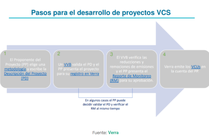 El VCS de Verra lidera el mercado al remover millones de toneladas de gases invernadero. Imagen: Verra. El VCS de Verra lidera el mercado al remover millones de toneladas de gases invernadero. Imagen: Verra.