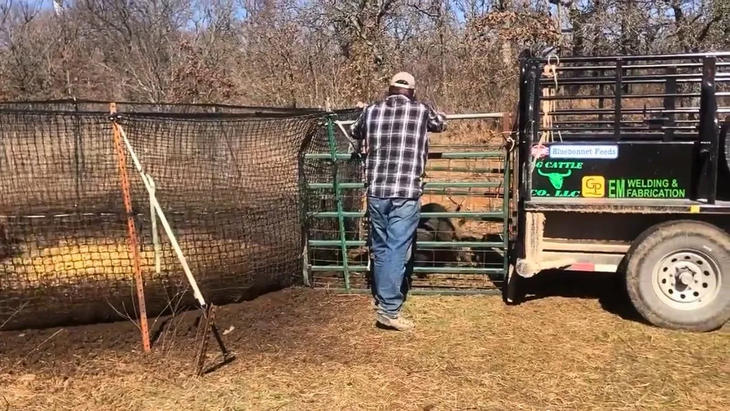 Solución innovadora: Llega al país la trampa Pig Brig para frenar la invasión de jabalíes. Solución innovadora: Llega al país la trampa Pig Brig para frenar la invasión de jabalíes.