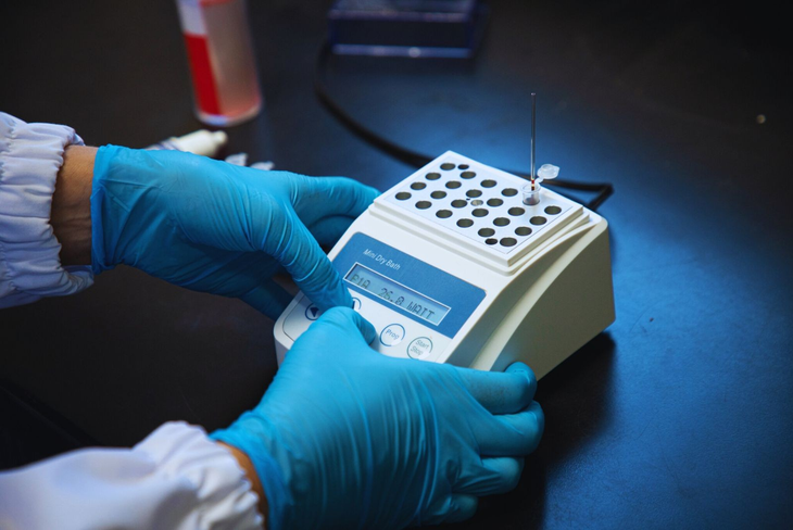 El principal beneficio de este desarrollo es poder realizar de forma rápida el diagnóstico. Foto: INTA El principal beneficio de este desarrollo es poder realizar de forma rápida el diagnóstico. Foto: INTA