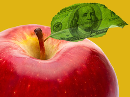 ¿podra la fruticultura convivir con un atraso cambiario? ¿podra la fruticultura convivir con un atraso cambiario?