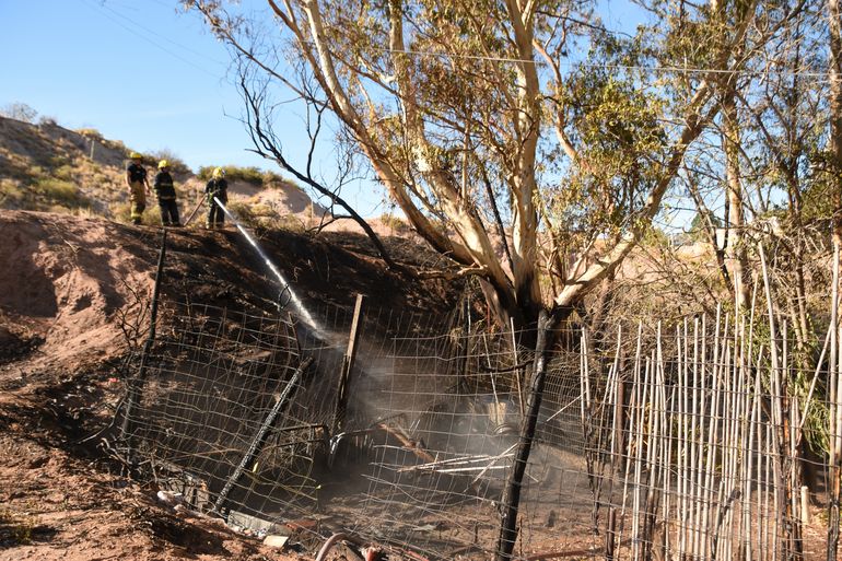 Susto en el centro: incendio en un lote puso en peligro las casas