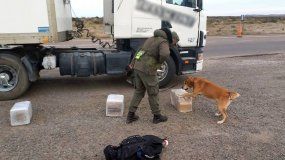 Dijo que llevaba encomiendas, pero estaban llenas de marihuana