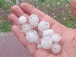 el granizo genero severos danos sobre la fruta del valle el granizo genero severos danos sobre la fruta del valle