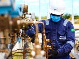 El IAPG lanza la primera escuela virtual de Tecnicatura en Petróleo y Gas