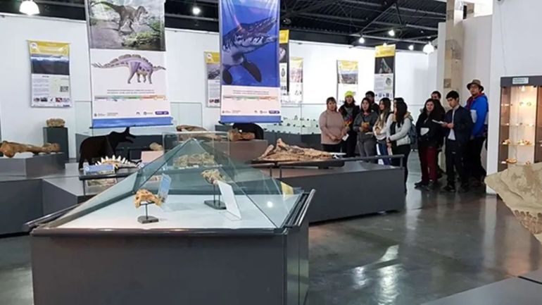 Biblioteca de Ciencias Geológicas “José Ignacio Garate Zubillaga”, en el corazón del Museo Provincial de Ciencias Naturales Profesor Doctor Juan A. Olsacher, en Zapala. Biblioteca de Ciencias Geológicas “José Ignacio Garate Zubillaga”, en el corazón del Museo Provincial de Ciencias Naturales Profesor Doctor Juan A. Olsacher, en Zapala.