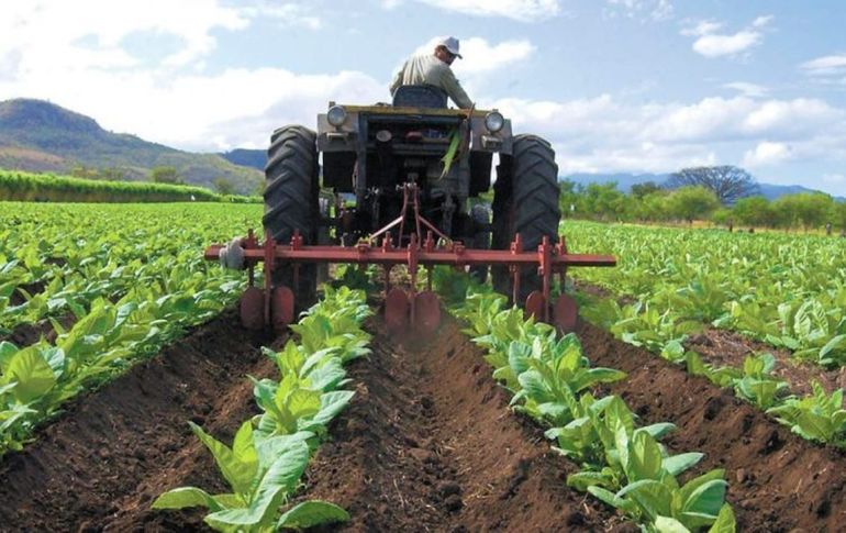 Maduro le cederá a Irán un millón de hectáreas de tierra de cultivo