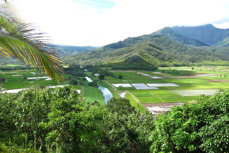 La isla Kauai, en Hawái, donde Mark Zuckerberg se está construyendo su refugio. La isla Kauai, en Hawái, donde Mark Zuckerberg se está construyendo su refugio.