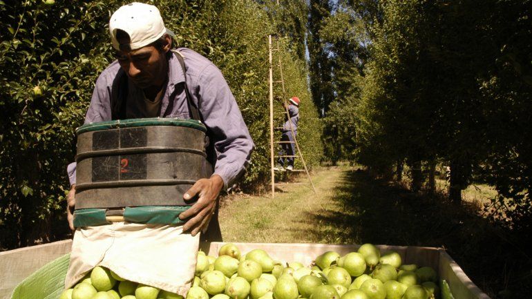 El BICE da créditos a Pymes locales