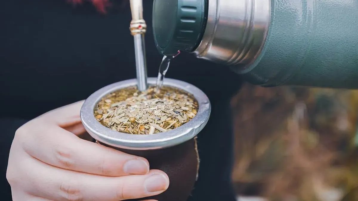¿Qué tipo de yerba no se aconseja usar para el mate? 