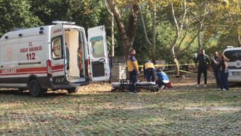 La mujer fue agredida en una zona recreativa del distrito de Kozan, en Turquía.
