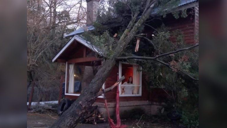 San Martín de los Andes: el temporal dejó árboles y postes caídos