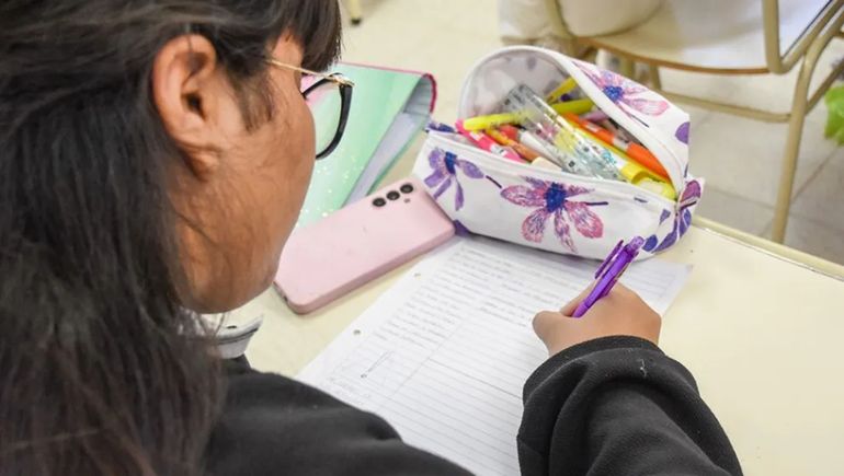 El programa alcanza a estudiantes de nivel primaria, secundario y superior no universitario. El programa alcanza a estudiantes de nivel primaria, secundario y superior no universitario.