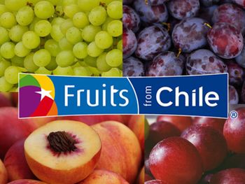 Chie es hoy una de las grandes potencias frutícolas mundiales.