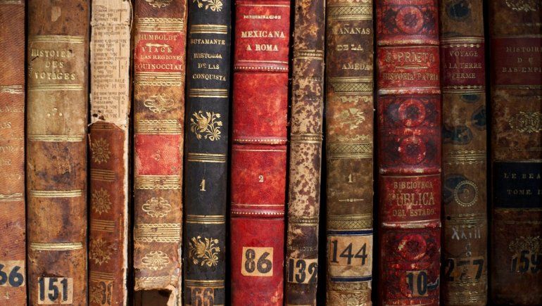 Conocé estas series de Netflix basadas en libros