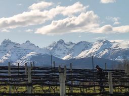 Ubicación clave: El viñedo se encuentra ubicado al lado del ya famoso campo de tulipanes local. Ubicación clave: El viñedo se encuentra ubicado al lado del ya famoso campo de tulipanes local.