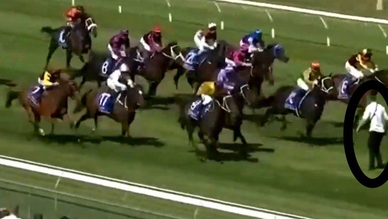 El intruso se paró delante de los caballos.