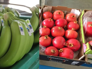 Exportaciones peruanas se expanden: China abre sus puertas a nuevos especies frutícolas.