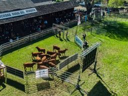 En la edición pasada, la hacienda que se presentó fue de alta calidad. En la edición pasada, la hacienda que se presentó fue de alta calidad.