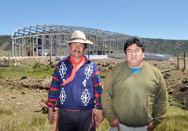 La curación según el pueblo mapuche