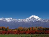 Los expertos destacaron que estos vinos, aún por lanzarse al mercado, reflejan mucha expresividad, fruta, son muy armónicos y especialmente elegantes y equilibrados.