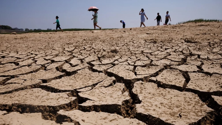 Alarma de la ONU y de la Cruz Roja