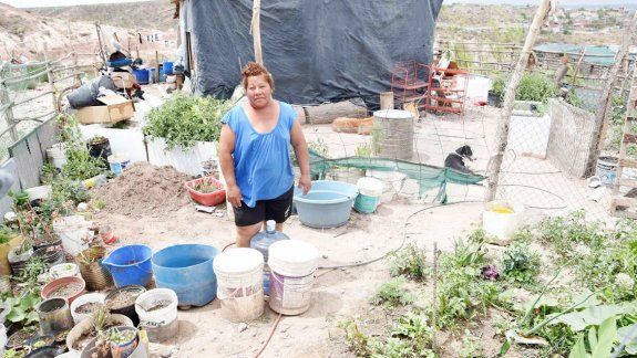 &nbsp;Un ejemplo de lucha y perseverancia. María Luisa, en el arenoso patio de su humilde casilla ubicada al final de la calle Casimiro Gómez,&nbsp;donde con paciencia y esmero hizo una pequeña huerta. &nbsp;