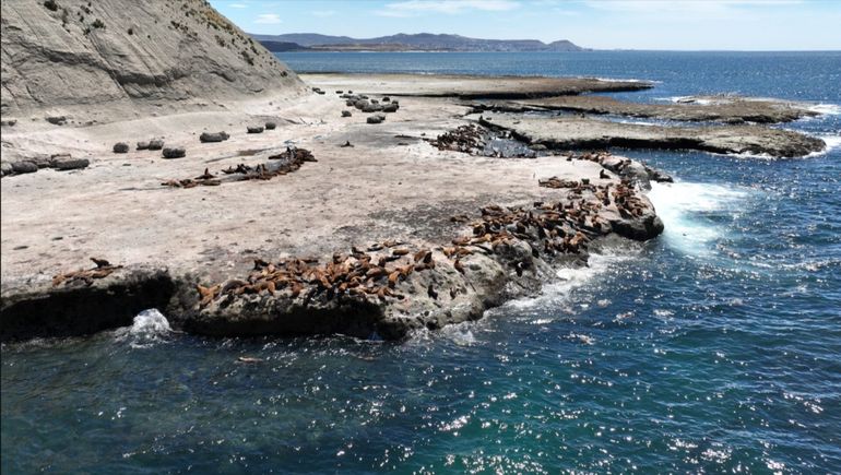 El Area Natural Protegida de Punta Marqués