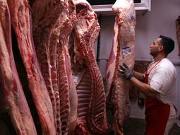 Datos del INDEC y el INTA confirman un hecho sin precedentes: la diferencia de precios entre ambos lados de la barrera del Río Colorado es inferior al 1%. Datos del INDEC y el INTA confirman un hecho sin precedentes: la diferencia de precios entre ambos lados de la barrera del Río Colorado es inferior al 1%.