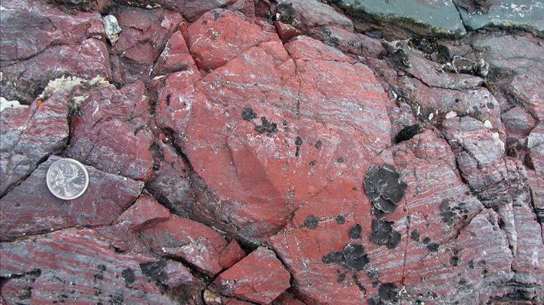 Los cálculos de los investigadores concluyen que la vida en la Tierra comenzó poco después de la formación del planeta.