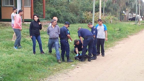 Asesinó al perro de su vecino porque lo encontró en su patio